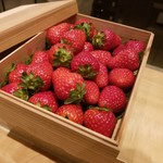 SUGALABO - 奈良 中井農園 いちご"古都華"