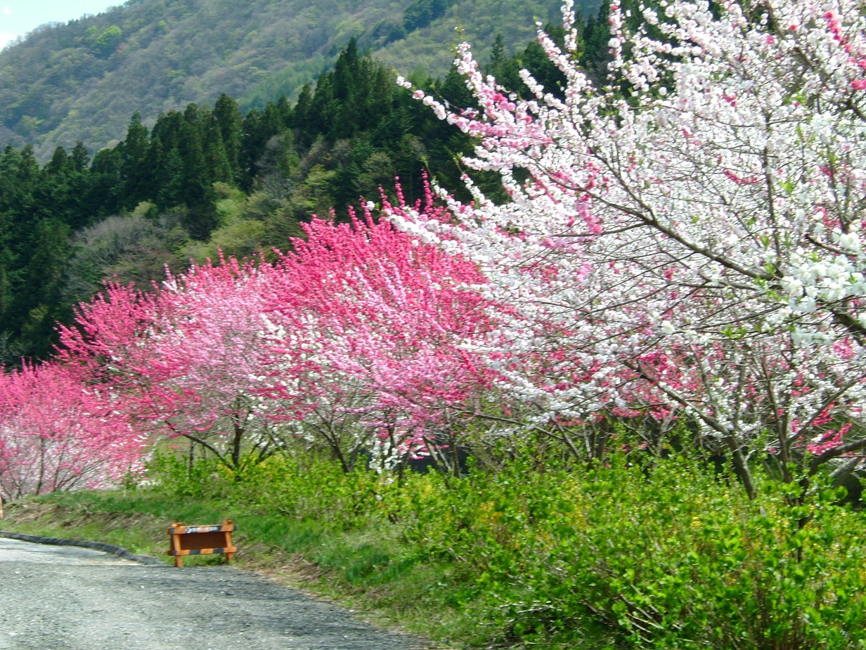 鶴巻荘 name=