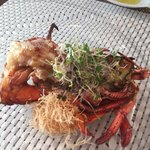 ビストロ ダイア - 