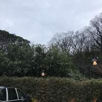 九つ井 本店 - 