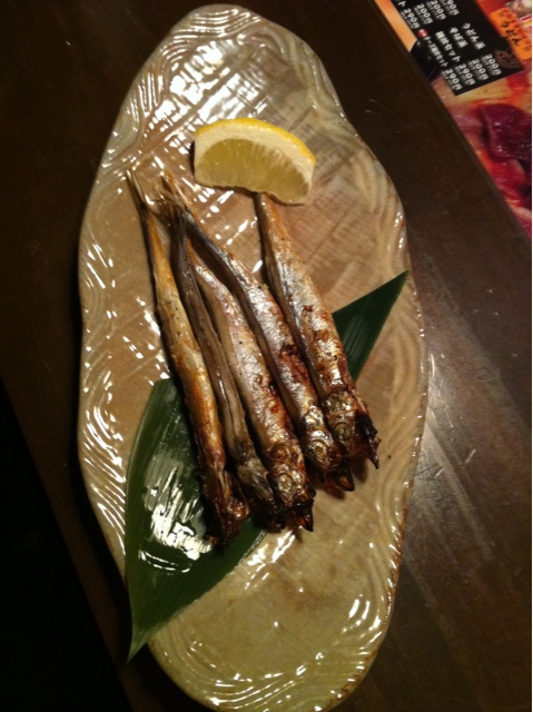 oudouizakayanoriwo - 心斋桥南船场长堀桥/日式小酒馆