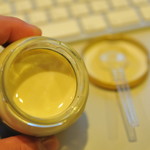 レガーロ×レガーレ - 