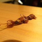 鮨 尚充 - 兵庫のホタルイカ