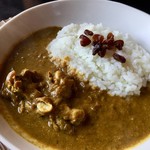 スプーンソング - 娘専用カレー(500円)