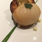 レフェルヴェソンス - 