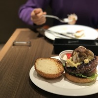 ダルマット 六本木ヒルズ店 - 