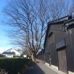 料亭 香梅咲 - 山居倉庫裏には冬枯れの欅との対比がすばらしかった 201803