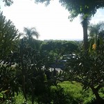 KCC Saturday Farmers' Market - 