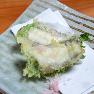 SAKEBar ゆう_2