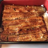 鰻割烹 伊豆栄 不忍亭 - パカーン