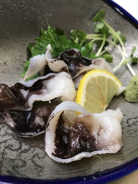 Sakura Zushi photo 2