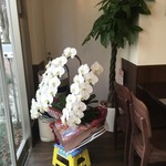 錦福 香港美食 - 祝い花