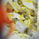 ピッザピッザピッザ - 