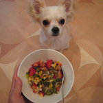 チューリップスープ - ワンコもフリーで部屋中を歩き回れます