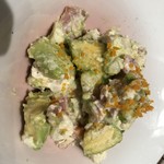 Nana Shibuya Miyamasukashita Ten