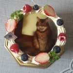 ル・ジャルダン・デュ・ソレイユ - 4号ケーキ＠2300円+チョコプレート9cm＠800円