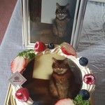 ル・ジャルダン・デュ・ソレイユ - 写真データをあらかじめ送るとチョコに印刷してもらえます。上は送信した写真。