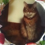 ル・ジャルダン・デュ・ソレイユ - こんなに鮮明にプリントされます。