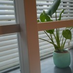 リストランテブレッツアディマーレ - 