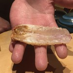 鮨　Shizuku - 車海老見せて頂きました～＼(^o^)／