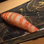 鮨　Shizuku - 雫コース18000円⓲握り・車海老