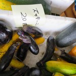 こうじや商店 - ズッキーニ  20円（笑）