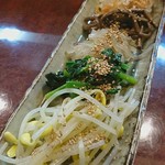 肉料理 大森 - ナムル盛り合わせ