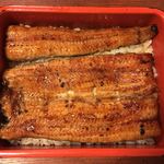 鰻はし本 - 鰻重 い