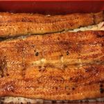 鰻はし本 - 鰻重 い