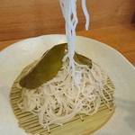 Tsubakiya - 光を通す美しい蕎麦