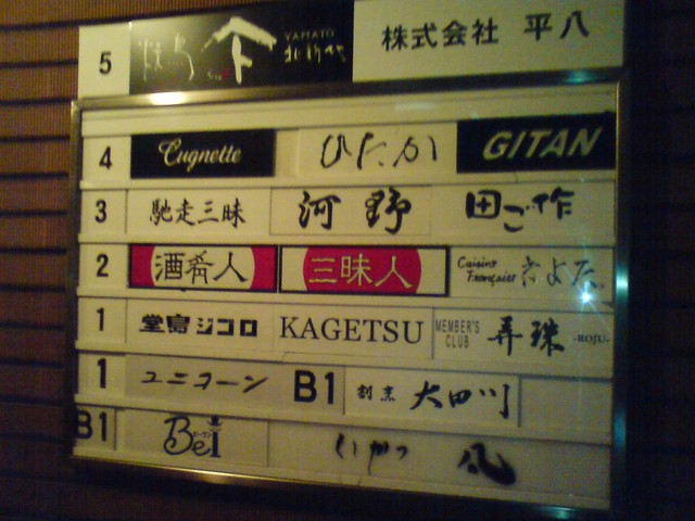 Dojima Gigolo photo 3