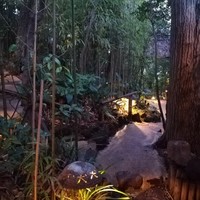 九つ井 本店 - 