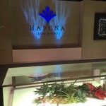 リュクス ダイニング ハプナ - 