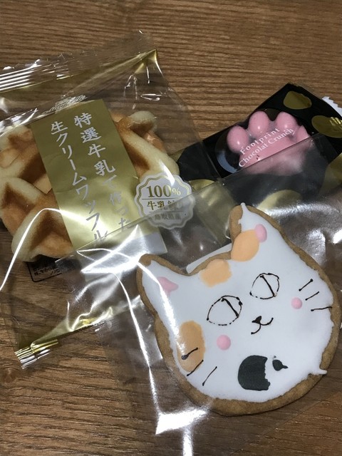 猫カフェ Nya Go 猫カフェ ニャーゴ 加古川 その他 食べログ 猫カフェ Nya Go 猫カフェ ニャーゴ 加古川 その他 食べログ