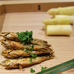 富小路 やま岸 - 