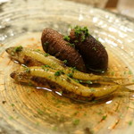 虎白 - もろことしいたけ