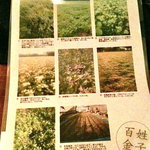 手打蕎麦 じゆうさん - のらそばについて