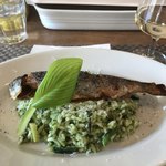 ビリエット - 春岩魚のコンフィ春野菜のリゾット