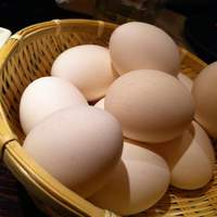 鳥ばか一代 - 卓上の生卵