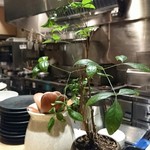 魚工房 としまや - 