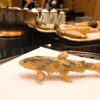 お座敷天婦羅 天政 丸ビル店 - 