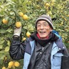 海さくら - ドリンク写真: