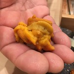 すし処 くりはら - 雲丹