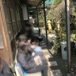 いろは食堂 - うん？ソファー？！！