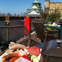 BLUE BIRDS ROOF TOP TERRACE - 