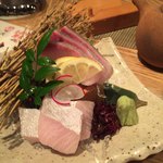 Dennoshi Ori - 