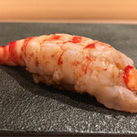 はっこく - 激レアクルマエビ