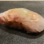 はっこく - ヒラメ