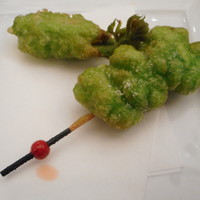 トゥーランドット 臥龍居  - 春の芽吹き、山菜の揚げもの、十味の香り
