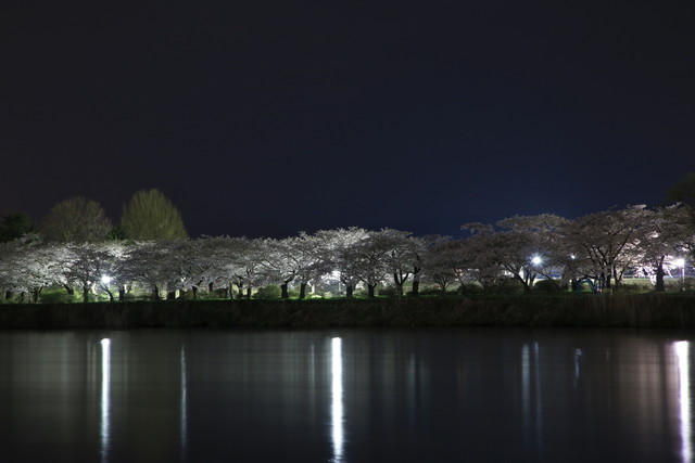 四季乃味 枕流亭（ちんりゅうてい/chinryutei） - 北上（日本料理）の写真